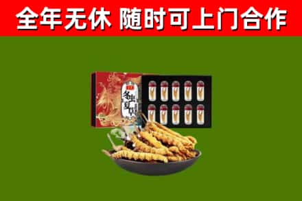 龙门烟酒回收冬虫夏草礼盒.jpg